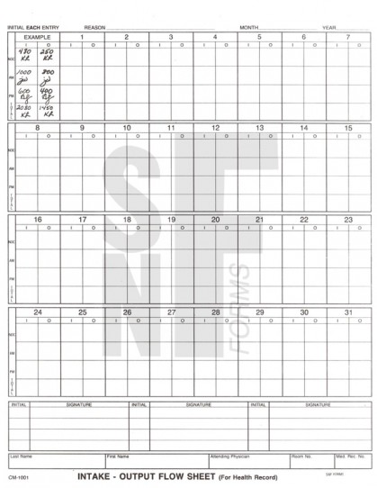 Intake & Output Evaluation: CM-1001 (2)